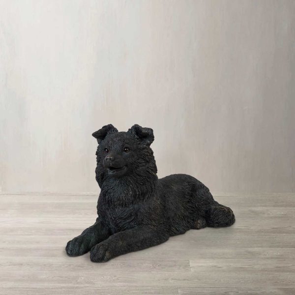 Perro Border - Imagen 2