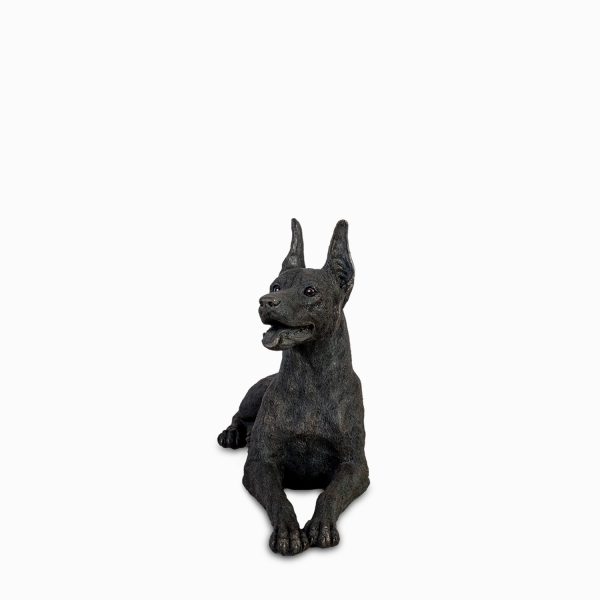 Perro Dóberman - Imagen 6