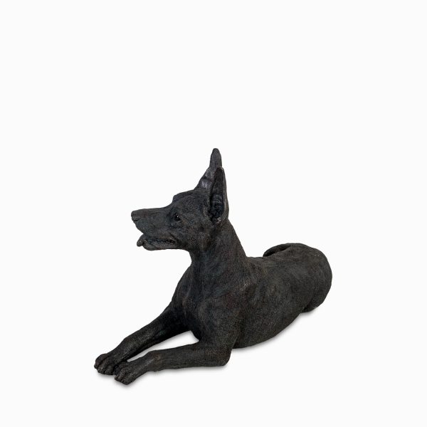 Perro Dóberman - Imagen 4