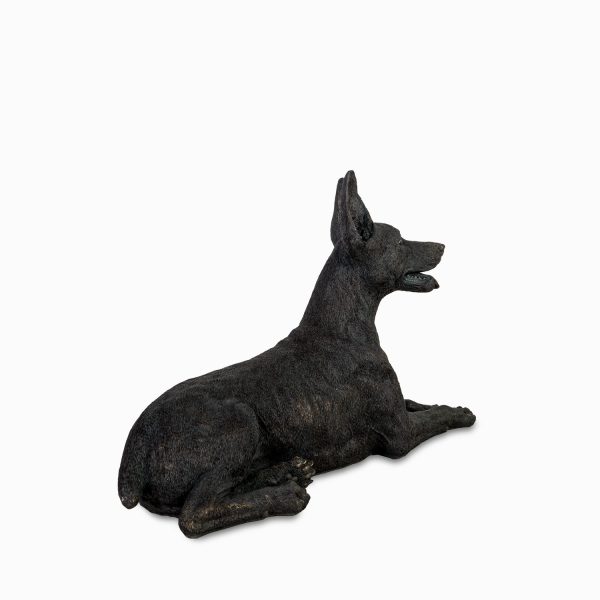 Perro Dóberman - Imagen 5