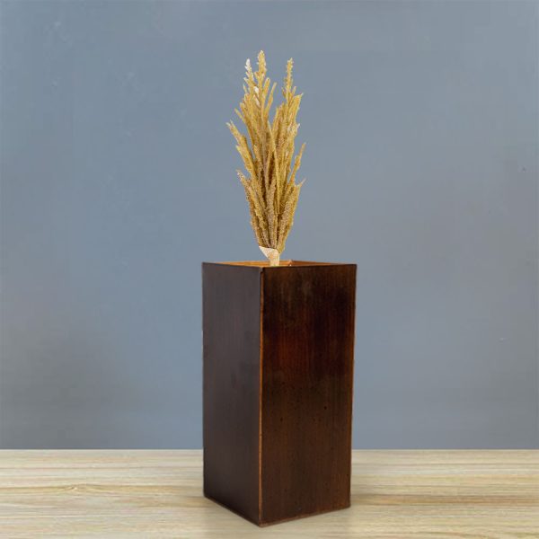 Miscanto 35cm - Imagen 4