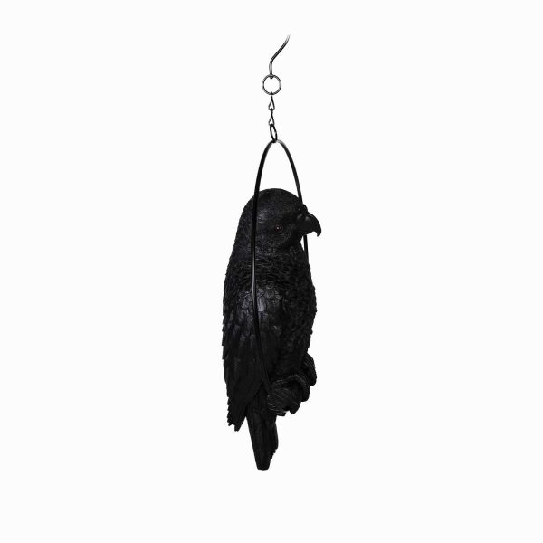 Loro negro - Imagen 5