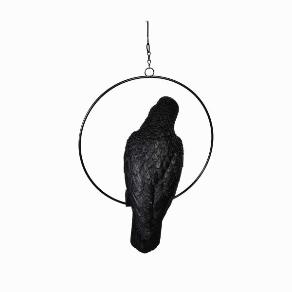 Loro negro - Imagen 6