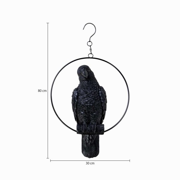 Loro negro - Imagen 3