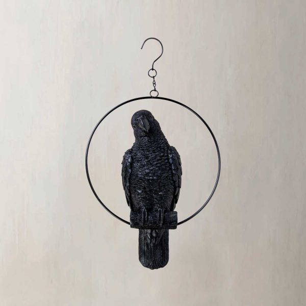 Loro negro - Imagen 2