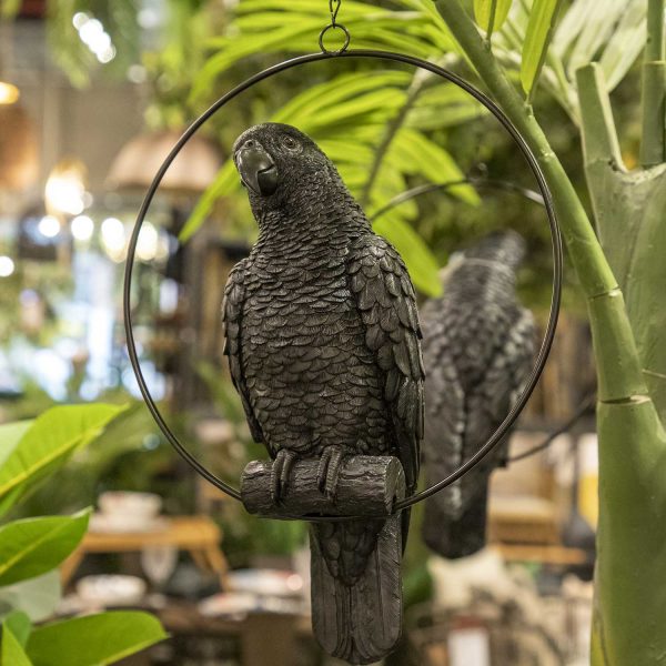 Loro negro - Imagen 4