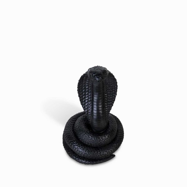 Serpiente negra