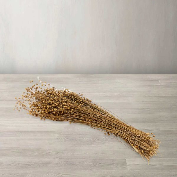 Ramo pasto trishi - Imagen 2