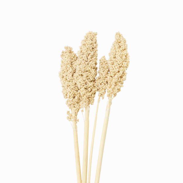 Ramo Indian beige
