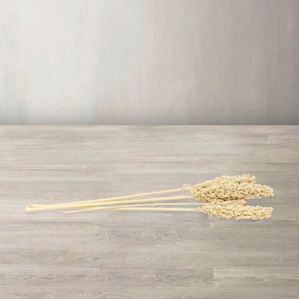 Ramo Indian beige - Imagen 2