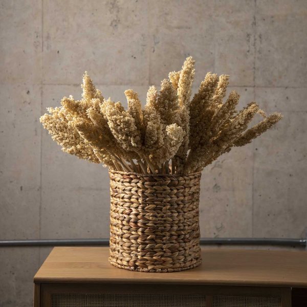 Ramo Indian beige - Imagen 4