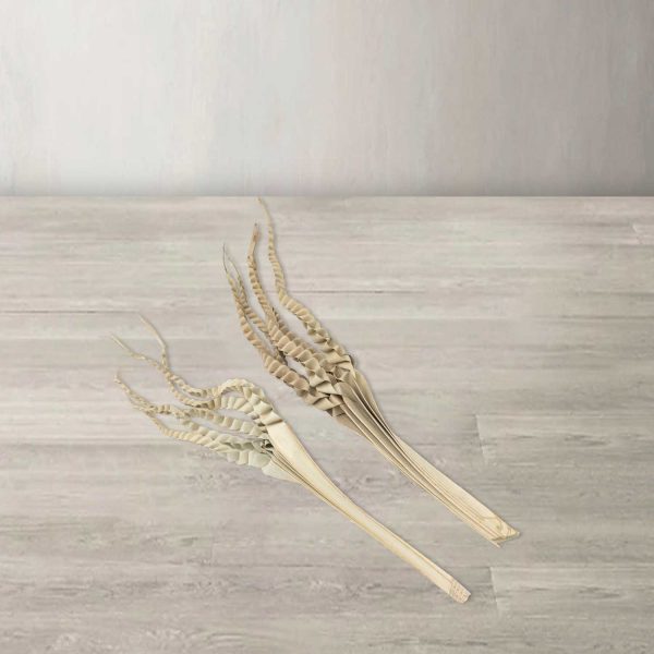 Palma Espiral Beige - Imagen 2