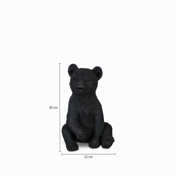 Oso - Imagen 3