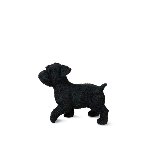 Schnauzer - Imagen 5
