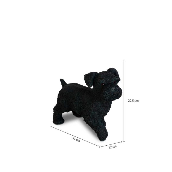Schnauzer - Imagen 3