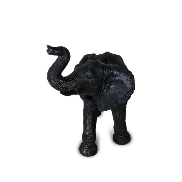 Elefante Colmillos