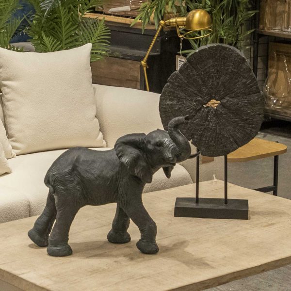 Elefante Colmillos - Imagen 4