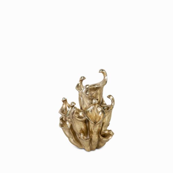 Planta Carnívora