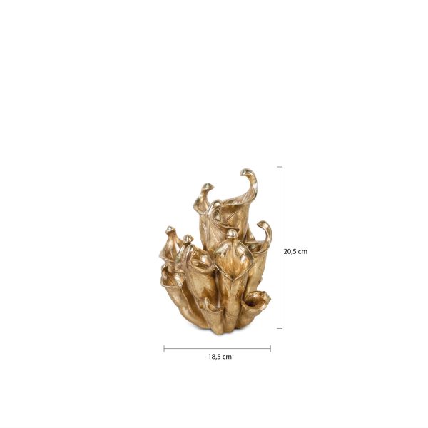 Planta Carnívora - Imagen 3