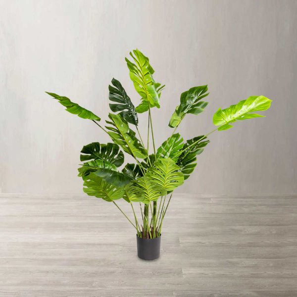 Monstera 165 cm - Imagen 2