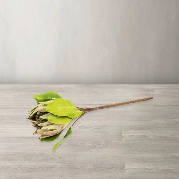 Flor Protea 63 cm - Imagen 2