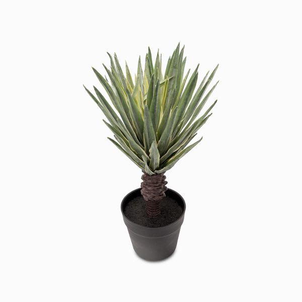 Sisal 49 cm