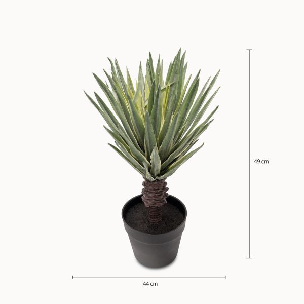 Sisal 49 cm - Imagen 3