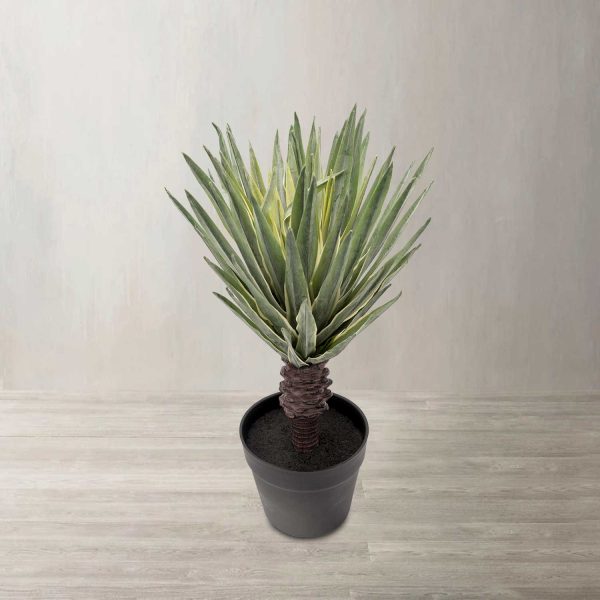 Sisal 49 cm - Imagen 2