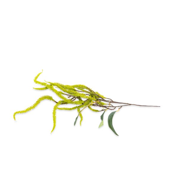 Rama Acacia verde 85cm