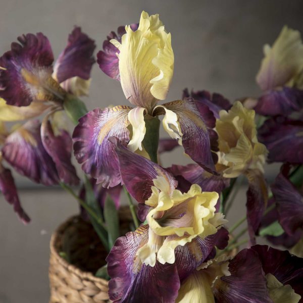 Lirio amarillo 83 cm - Imagen 5
