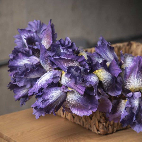 Lirio Morado 83 cm - Imagen 4