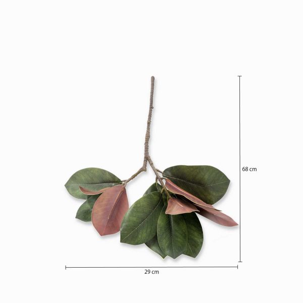 Rama Magnolia 68 cm - Imagen 3
