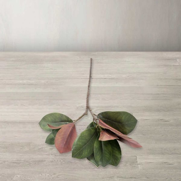 Rama Magnolia 68 cm - Imagen 2