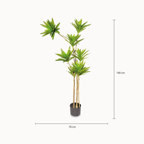 Yuca 140 cm - Imagen 3