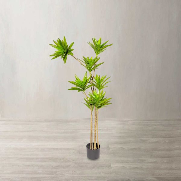 Yuca 140 cm - Imagen 2