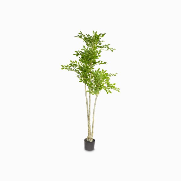 Árbol Uimus 140 cm