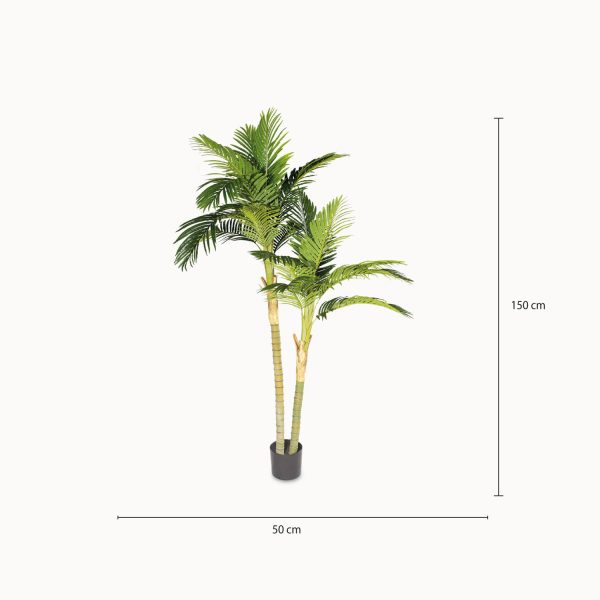 Palma Areca 180 cm - Imagen 3