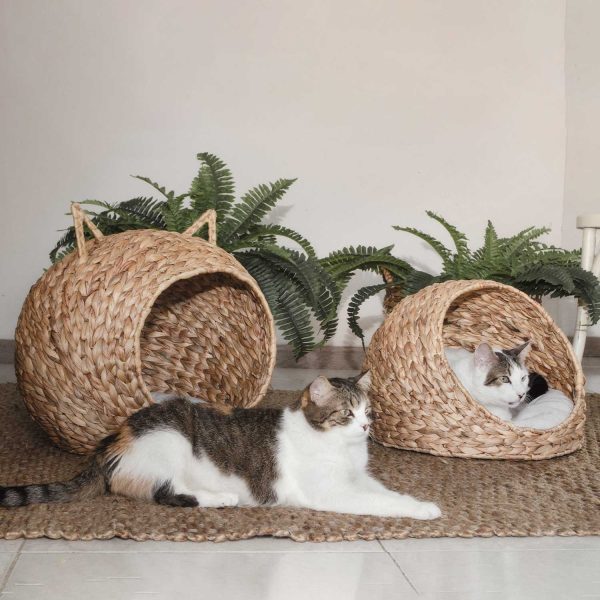 Cama para mascotas en jacinto de agua 46x40x40cm - Imagen 4