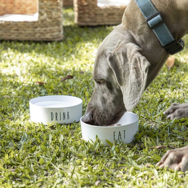 Bowl para mascotas EAT - Imagen 4