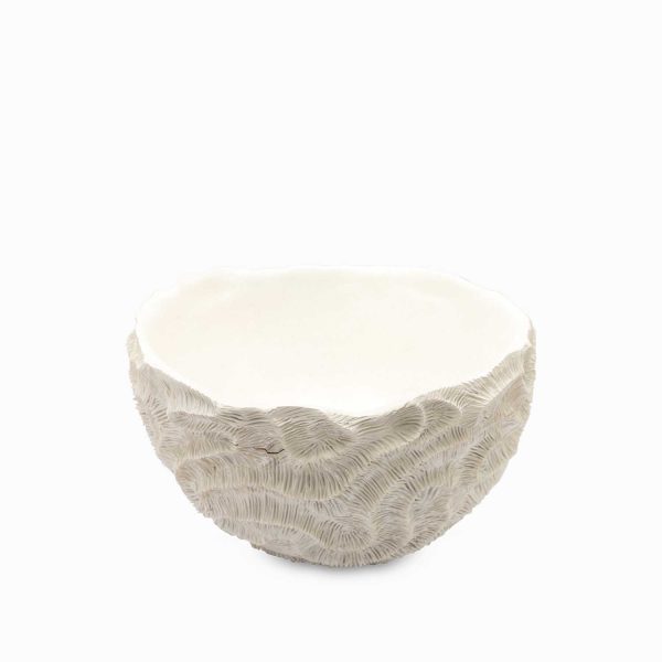 Tazon coral 26x40cm