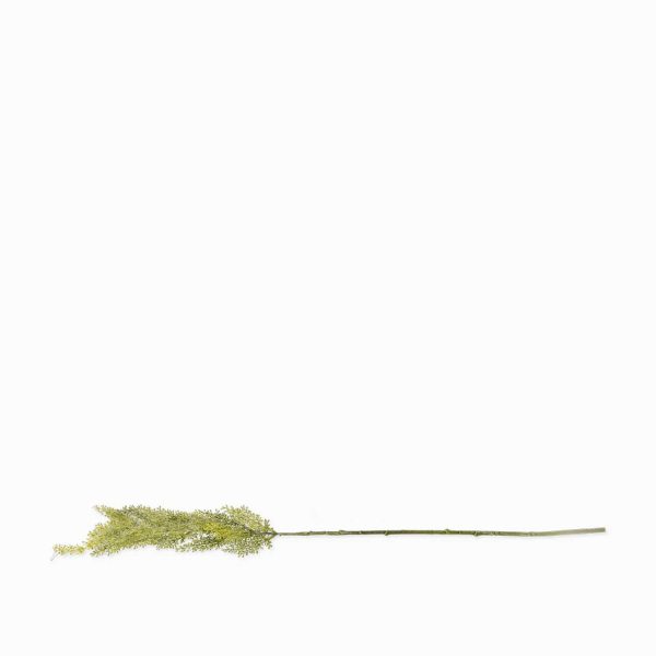 Junco verde 74cm