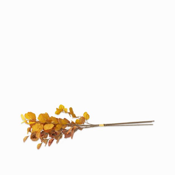 Racimo eucalipto amarillo 74cm