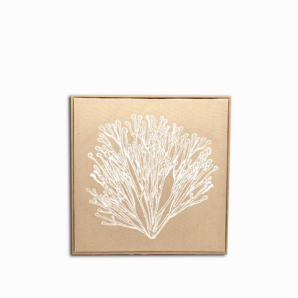 Cuadro marino coral 62x62
