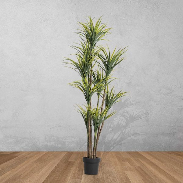 Planta Agave 180 cm - Imagen 2