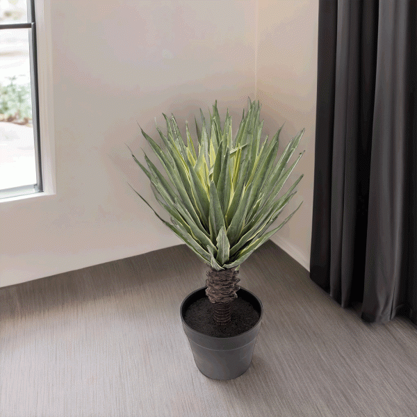 Sisal 49 cm - Imagen 4