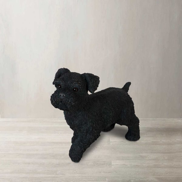 Schnauzer - Imagen 2