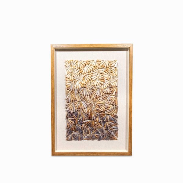 Cuadro caracoles 80x60x5cm