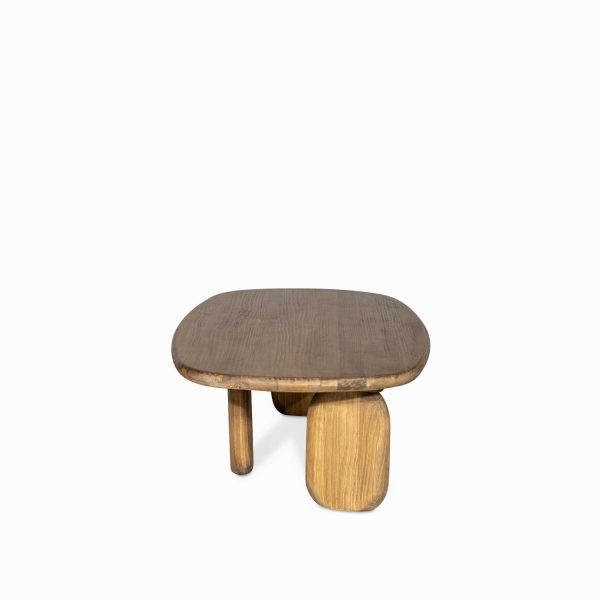 Mesa de centro león 40x125x75 - Imagen 3