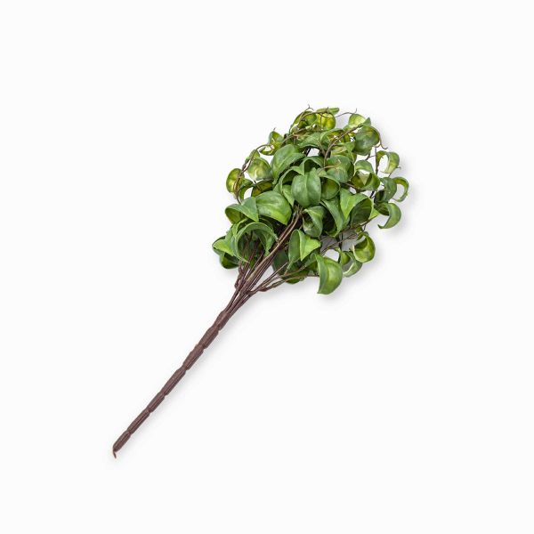 Rama peperomia 37cm - Imagen 2