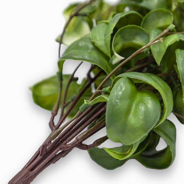 Rama peperomia 37cm - Imagen 3